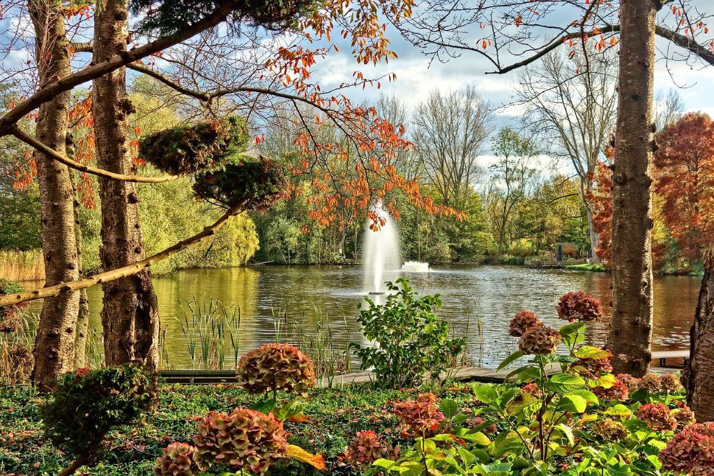 photo of a fountain in a lake in a green forest in amsterdam netherlands