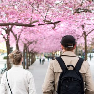 photo of a couple walking by trees with pink leaves in stockholm Sweden