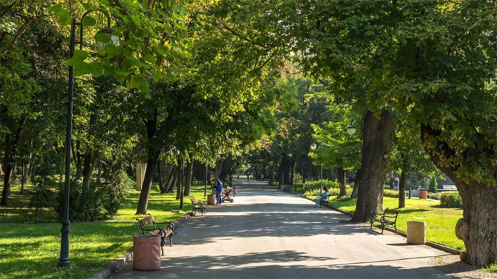 photo of park with trees in plovdiv bulgaria